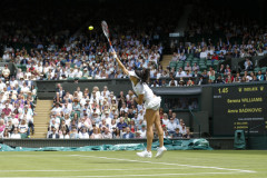Tennis-Amra-3
